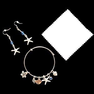 Charm Bangle Bracelet Silver Tone With Earings